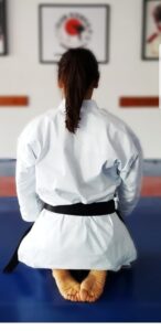 artes marciales en leon